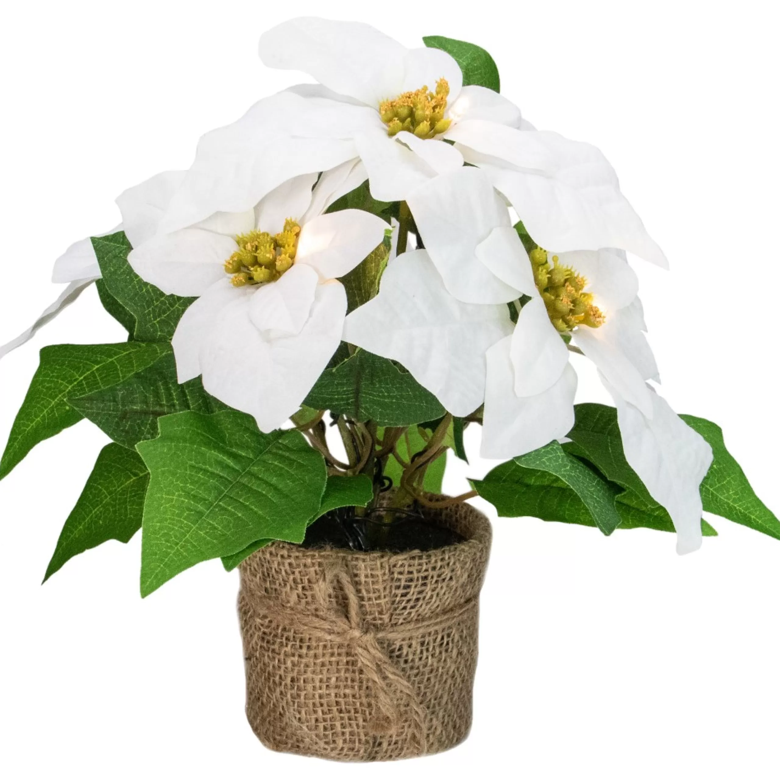 Floral*Northlight 11.75" Led Artificial White Poinsettia Potted Plant - Clear Lights