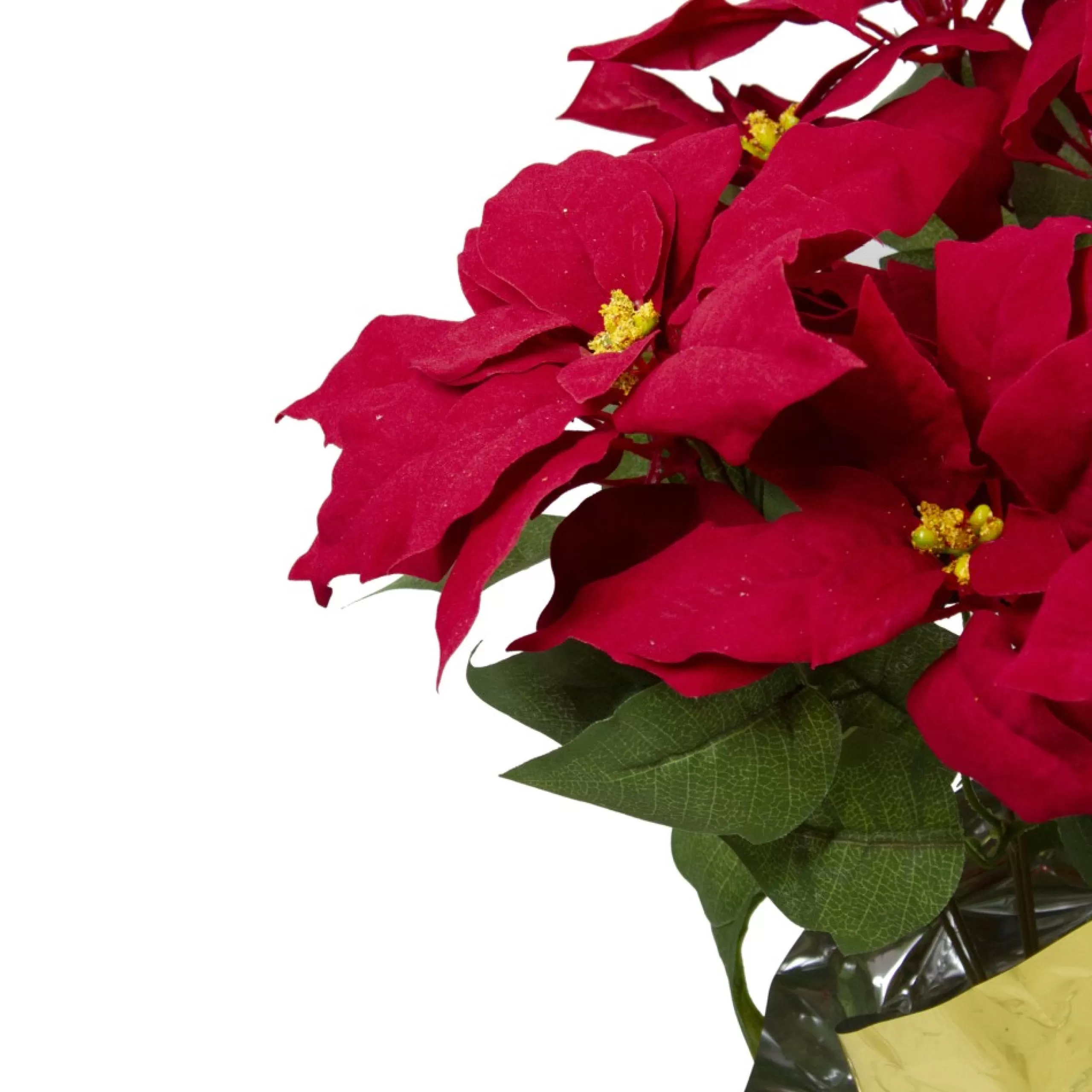 Floral*Northlight 20" Red Artificial Christmas Poinsettia With Gold Wrapped Pot