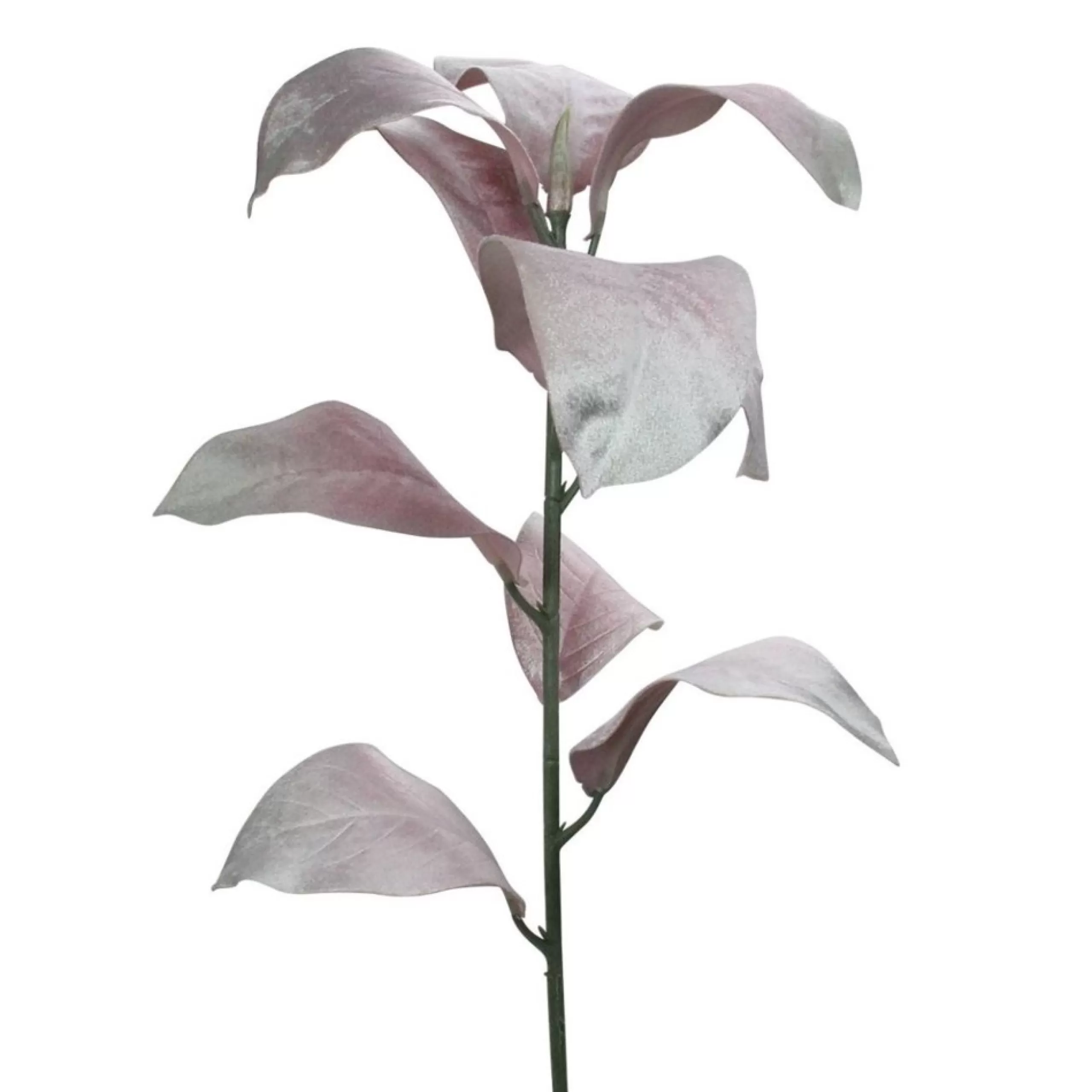 Sprays, Branches & Picks*Northlight 32" Blush Pink Magnolia Leaf Artificial Christmas Spray